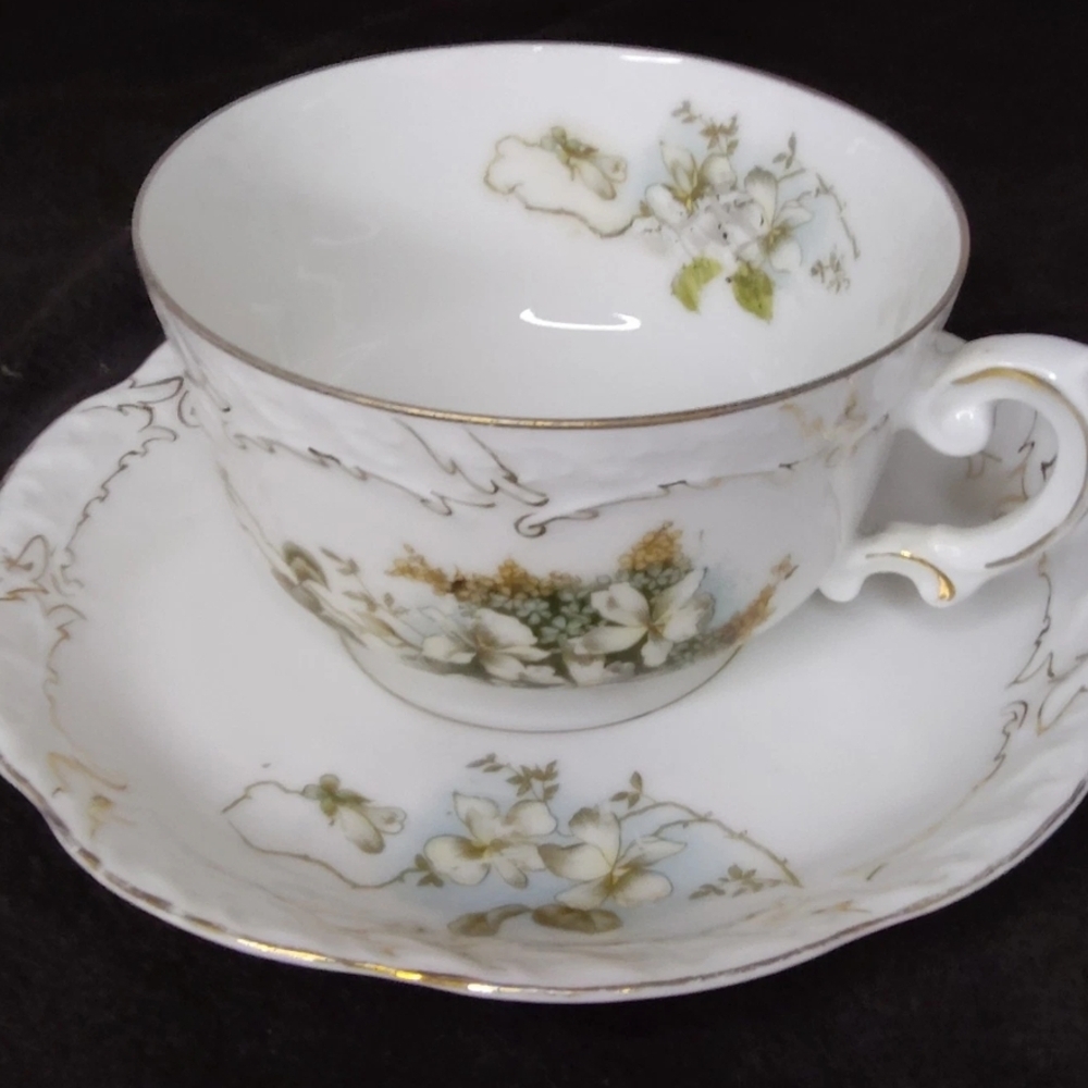 BEAUTIFUL Imperial Crown China PS Bavaria Tea Cup And Saucer (1930-1940)